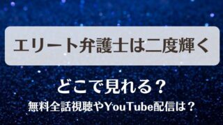 エリート弁護士は二度輝く どこで見れる？無料全話視聴やYouTube配信は？