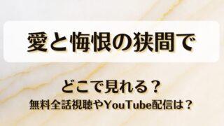 愛と悔恨の狭間で どこで見れる？無料全話視聴やYouTube配信は？