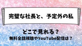 完璧な社長と予定外の私 どこで見れる？無料全話視聴やYouTube配信は？