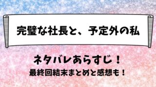 完璧な社長と予定外の私 ネタバレあらすじ！最終回結末まとめと感想も！