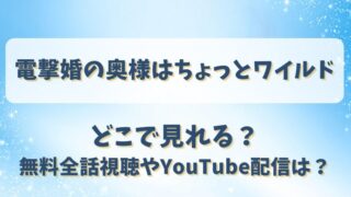 電撃婚の奥様はちょっとワイルド どこで見れる？無料全話視聴やYouTube配信は？