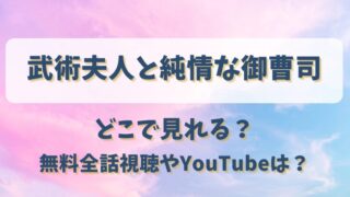 武術夫人と純情な御曹司 どこで見れる？無料全話視聴やYouTubeは？