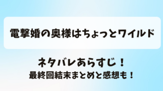 電撃婚の奥様はちょっとワイルド ネタバレあらすじ！最終回結末まとめと感想も！