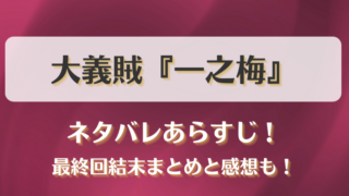 大義賊一之梅 ネタバレあらすじ！最終回結末まとめと感想も！