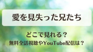 愛を見失った兄たち どこで見れる？無料全話視聴やYouTube配信は？
