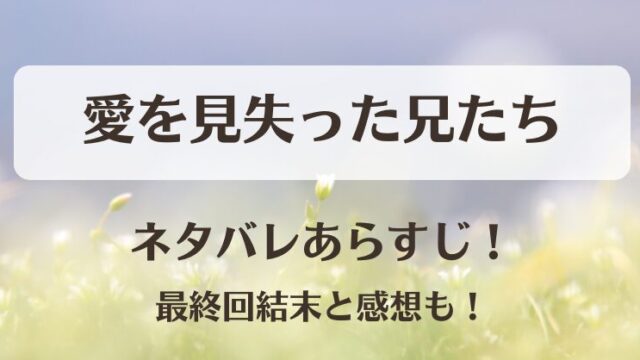 愛を見失った兄たち ネタバレあらすじ！最終回結末と感想も！