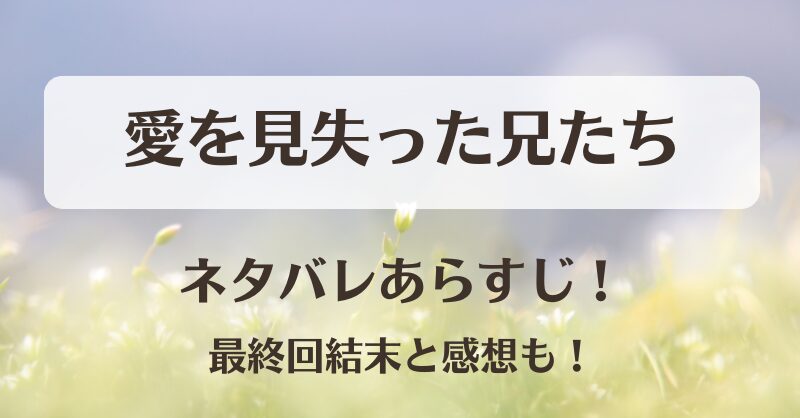 愛を見失った兄たち ネタバレあらすじ！最終回結末と感想も！