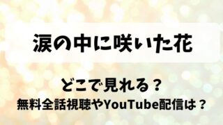 涙の中に咲いた花 どこで見れる？無料全話視聴やYouTube配信は？