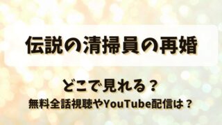 伝説の清掃員の再婚 どこで見れる？無料全話視聴やYouTube配信は？