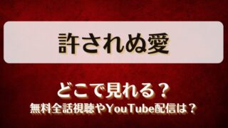 許されぬ愛 どこで見れる？無料全話視聴やYouTube配信は？