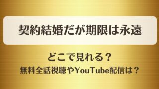 契約結婚だが期限は永遠 どこで見れる？無料全話視聴やYouTube配信は？