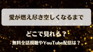 愛が燃え尽き空しくなるまで どこで見れる？無料全話視聴やYouTube配信は？