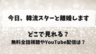 今日韓流スターと離婚します どこで見れる？無料全話視聴やYouTube配信は？