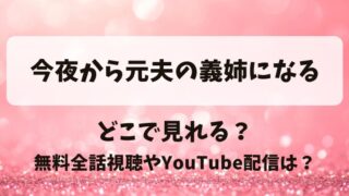 今夜から元夫の義姉になる どこで見れる？無料全話視聴やYouTube配信は？