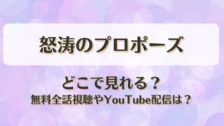 怒涛のプロポーズ どこで見れる？無料全話視聴やYouTube配信は？