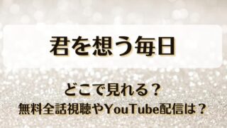 君を想う毎日 どこで見れる？無料全話視聴やYouTube配信は？