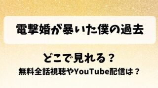 電撃婚が暴いた僕の過去 どこで見れる？無料全話視聴やYouTube配信は？