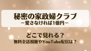 秘密の家政婦クラブ愛さなければ1億円 どこで見れる？無料全話視聴やYouTube配信は？