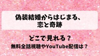 偽装結婚からはじまる恋と奇跡 どこで見れる？無料全話視聴やYouTube配信は？