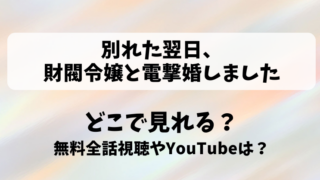 別れた翌日財閥令嬢と電撃婚しました どこで見れる？無料全話視聴やYouTubeは？