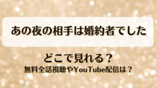 あの夜の相手は婚約者でした どこで見れる？無料全話視聴やYouTube配信は？