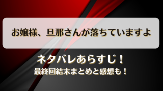 お嬢様旦那さんが落ちていますよ ネタバレあらすじ！最終回結末まとめと感想も！