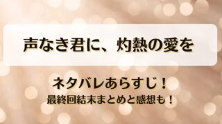 声なき君に灼熱の愛を ネタバレあらすじ！最終回結末まとめと感想も！