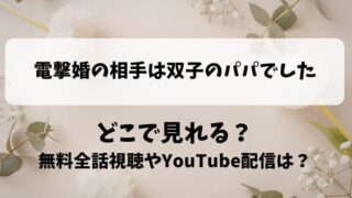電撃婚の相手は双子のパパでした どこで見れる？無料全話視聴やYouTube配信は？