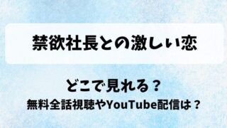 禁欲社長との激しい恋 どこで見れる？無料全話視聴やYouTube配信は？
