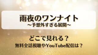 雨夜のワンナイト予想外すぎる展開 どこで見れる？無料全話視聴やYouTube配信は？