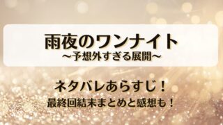 雨夜のワンナイト予想外すぎる展開 ネタバレあらすじ！最終回結末まとめと感想も！