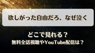 欲しがった自由だろなぜ泣く どこで見れる？無料全話視聴やYouTube配信は？