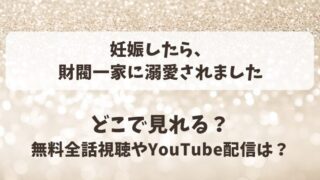 妊娠したら財閥一家に溺愛されました どこで見れる？無料全話視聴やYouTube配信は？