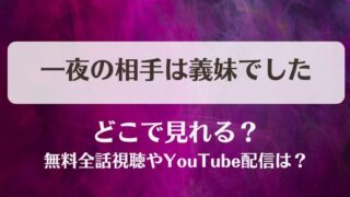 一夜の相手は義妹でした どこで見れる？無料全話視聴やYouTube配信は？