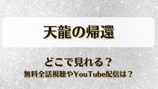 天龍の帰還 どこで見れる？無料全話視聴やYouTube配信は？