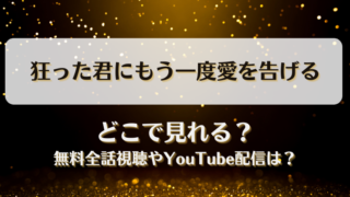 狂った君にもう一度愛を告げる どこで見れる？無料全話視聴やYouTube配信は？