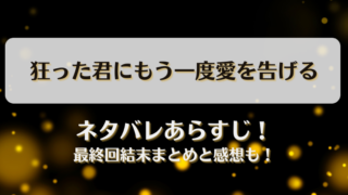 狂った君にもう一度愛を告げる ネタバレあらすじ！最終回結末まとめと感想も！