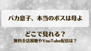 バカ息子本当のボスは母よ どこで見れる？無料全話視聴やYouTube配信は？