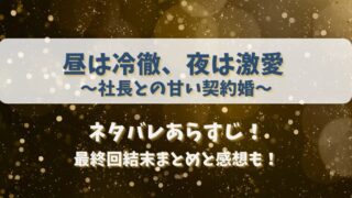 昼は冷徹夜は激愛 社長との甘い契約婚 ネタバレあらすじ！最終回結末まとめと感想も！
