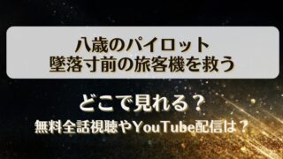 八歳のパイロット墜落寸前の旅客機を救う どこで見れる？無料全話視聴やYouTube配信は？
