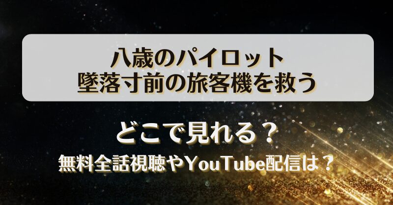 八歳のパイロット墜落寸前の旅客機を救う どこで見れる？無料全話視聴やYouTube配信は？