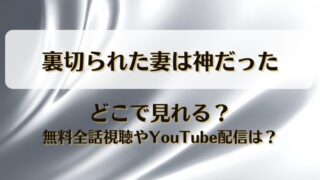 裏切られた妻は神だった どこで見れる？無料全話視聴やYouTube配信は？