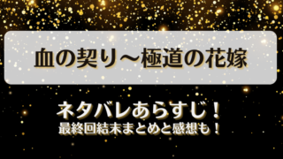 血の契り極道の花嫁 ネタバレあらすじ！最終回結末まとめと感想も！
