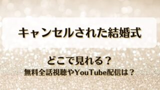 キャンセルされた結婚式 どこで見れる？無料全話視聴やYouTube配信は？