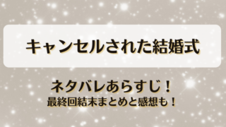 キャンセルされた結婚式 ネタバレあらすじ！最終回結末まとめと感想も！