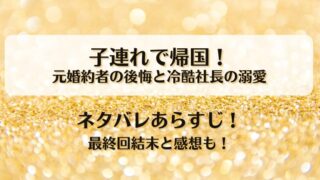 子連れで帰国 元婚約者の後悔と冷酷社長の溺愛 ネタバレあらすじ！最終回結末と感想も！