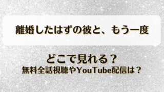 離婚したはずの彼ともう一度 どこで見れる？無料全話視聴やYouTube配信は？