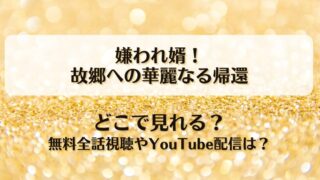 嫌われ婿故郷への華麗なる帰還 どこで見れる？無料全話視聴やYouTube配信は？