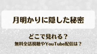 月明かりに隠した秘密 どこで見れる？無料全話視聴やYouTube配信は？