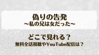 偽りの告発私の兄は女だった どこで見れる？無料全話視聴やYouTube配信は？